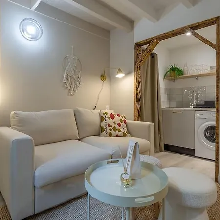 L'elegance Du Capitole Apartment
