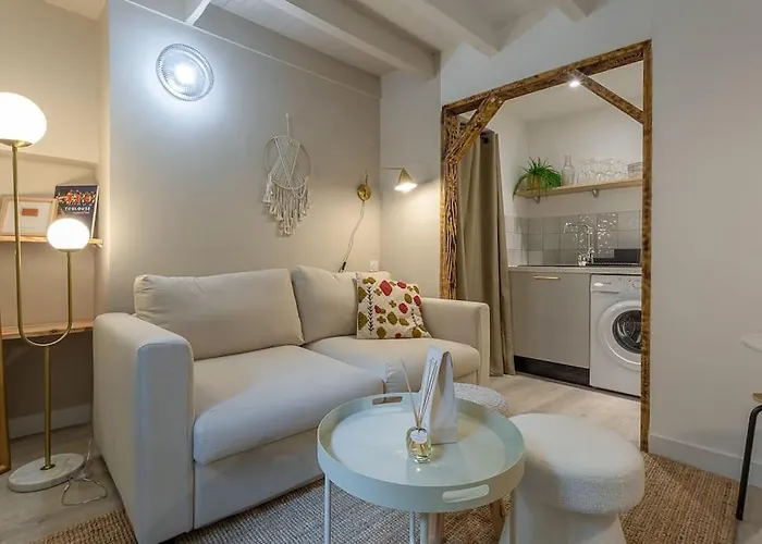 L'elegance Du Capitole Apartment