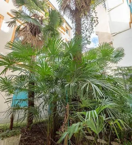 Apartment L'elegance Du Capitole